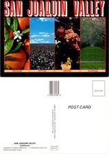 San Joaquin CA Central California Valley Farm Crops Orange Cotton Postcard 73203 picture