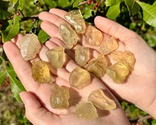 Libyan Desert Glass: Choose Size (100% Genuine Natural Libyan Gold Tektite) picture