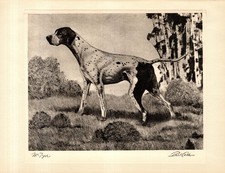 1930s Bert Cobb Pointer Print Antique Pointer Hunting Dog Wall Art Decor 6797p picture