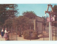 Unused Pre-1980 PARK SCENE Riverside - Los Angeles California CA c7503 picture