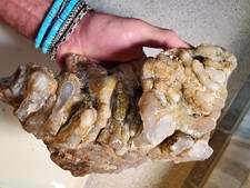 AA++ San Carlos Banded Druzy Bullseye Tube Stalactite Agate Mexico 2231g  picture