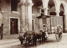 Lot 3 Havana Cuba Street Scene Photos 1900s Columns Ox Cart Cathedral picture