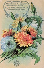 Hope Love Poem Deep Thoughts Wild Flowers Baldwin WV West Virginia Postcard 3A picture