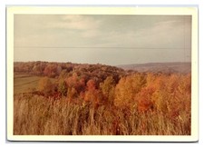 Vintage Original 1960s - Pennsylvania Mountains - Snap Shot Photo (5in X 3.5in) picture