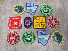 NOS 1970s BSA Naskapi Patch Lot Tall Pine Council Flint Michigan Boy Scouts 10pc picture
