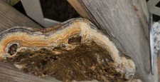 5 Pound Crowley Ridge Agate Beautful Banding Druzy Iron Unique Specimen HUGE L11 picture