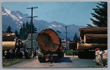 Oregon Logging Huge Logs Log Truck Mountain View Postcard picture