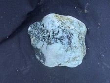 Large Natural Green Serpentine Marble Rough Display Stone Jade Look Lapidary picture