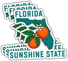 3 PCS Florida Sunshine State Sticker with Orange Fruit Design, Vintage Florida M picture