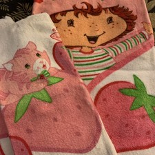 Vintage 2004 Strawberry Shortcake 2-Piece Bath Set Bath Towel & 2 Washcloths picture