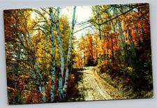 Fallsview Store Restoule Ontario Canada Vintage Ektachrome Postcard picture