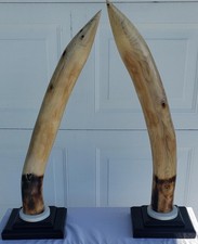 PAIR OF REALISM FAUX ART ELEPHANT NEUTRAL WOOD CARVINGS 33