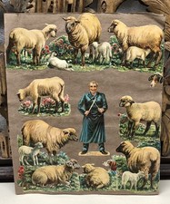 Antique Double Sided Glued Scraps of Butcher + Sheep & Other Items on Sheet - L4 picture