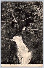Canyon Creek Falls Dungeness River Washington WA c1910 Postcard picture