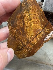 Oregon Biggs canyon jasper rough slab cabbing lapidary 74.5 grams picture
