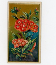 1890 N164 Goodwin & Co. Old Judge Tobacco Cigarettes Verbena F162 picture