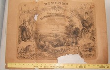 ANTIQUE 1875 CARTHAGE, NY UNION AGRICULTURE SOCIETY DIPLOMA GREAT ILLUSTRATIONS picture