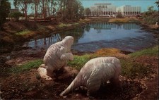 LOS ANGELES CALIF CA Rancho la Brea Tar Pits Hancock Park Vintage Postcard picture