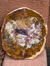 Full Bark Petrified Wood Slab Polished Both Sides, NO STAND picture