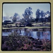 Rare Vtg 1960s Ektachrome 35mm Color Slide Hawaii Golf Course Lava Vivid Image picture