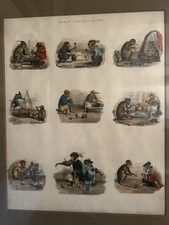 Antique Hand-colored Lithograph of Anthropomorphic Monkeys Published In 1830 picture