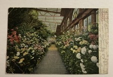 VTG Postcard Philadelphia PA Interior Horticultural Hall Fairmont Park UDB C1906 picture