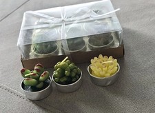 6 Pack Succulent Cactus Tea Lights Candles + 3 Additional  picture