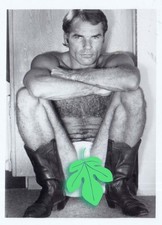 Vintage photo - Colt model Gunther Keller in gapped briefs -  Gay interest picture