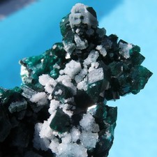 Stunning Green Dioptase On Matrix Congo picture