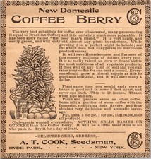 New Domestic Coffee Berry AT Cook Hyde Park NY 1906 Minneapolis Ad 5AL1-H3 picture