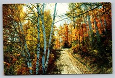 Vintage Fallsview Store Restoule Ontario Canada Autumn Postcard picture