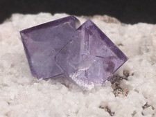Purple Fluorite Cube Specimen with White Quartz on Matrix from Yaogangxian picture
