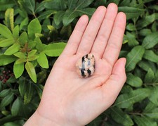 1 x Tumbled Stone Crystal: Choose From 130+ Types (Polished Gemstones) picture