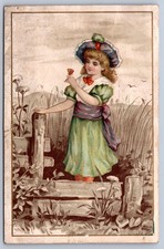 K21/ Victorian Trade Card c1880s Sandusky Ohio Henry Gardner Organs 439 picture
