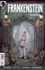 Frankenstein Undone #2B FN; Dark Horse | World of Hellboy - w/Bag+Board picture