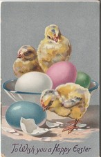 Easter postcard - Chicks eggs - 1910s Raphael Tuck's series 701 picture