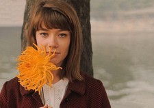 Françoise Francoise Hardy 8x12 giclee photo  picture