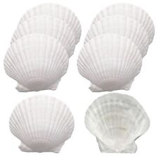 8 Pcs Large Scallop Shells for Crafts,4 Inches Baking Shells Natural Large Se... picture