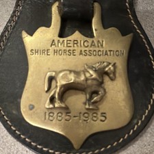 Vintage 2 horse brass Leather Fob American Shire Horse Association 1885- 1995 picture