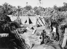 Group Of People In Typical Arab Village Of Middle East 1930 OLD PHOTO picture