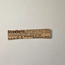 AR Weston & Co Strawberry Raspberry Bridgman MI 1906 Minneapolis Ad 5AL1-S10 picture