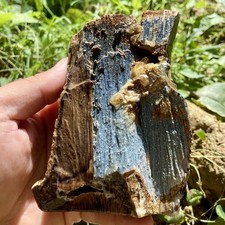 1 Pound 7.73 Oz Blue Druzy UV Reactive Petrified Palm Wood Lapidary Rough picture