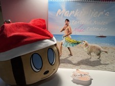 Markiplier Tasteful Nudes Calendar (2018-19) Autographed And TinyBox Tim Plush picture