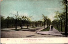 Ogden Boulevard Chicago IL Trees Electric Lines Poles Trolley Postcard c1910 picture
