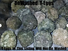 1 LB LOT = 12 - 20 Oregon Thundereggs Rough Old Stock Lapidary Bulk Agate Geode picture