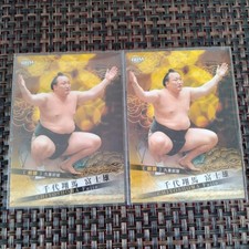 Chiyoshoma Sumo Card BBM 2025 Glitter Japanese Sports Collectible picture