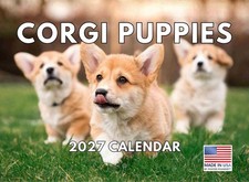 Corgi Puppy Calendar 2027 Monthly Wall Calender 12 Month 12x18 picture
