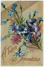 Vintage Victorian Postcard 1910 A Token of Friendship - Salesman's Sample Card picture
