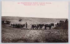 Horses Preparing Land for Wheat Cascade Series postcard Northwestern Scenes picture