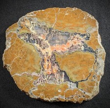 Priday Plume Agate Polished Slab - Collector Mineral Specimen picture